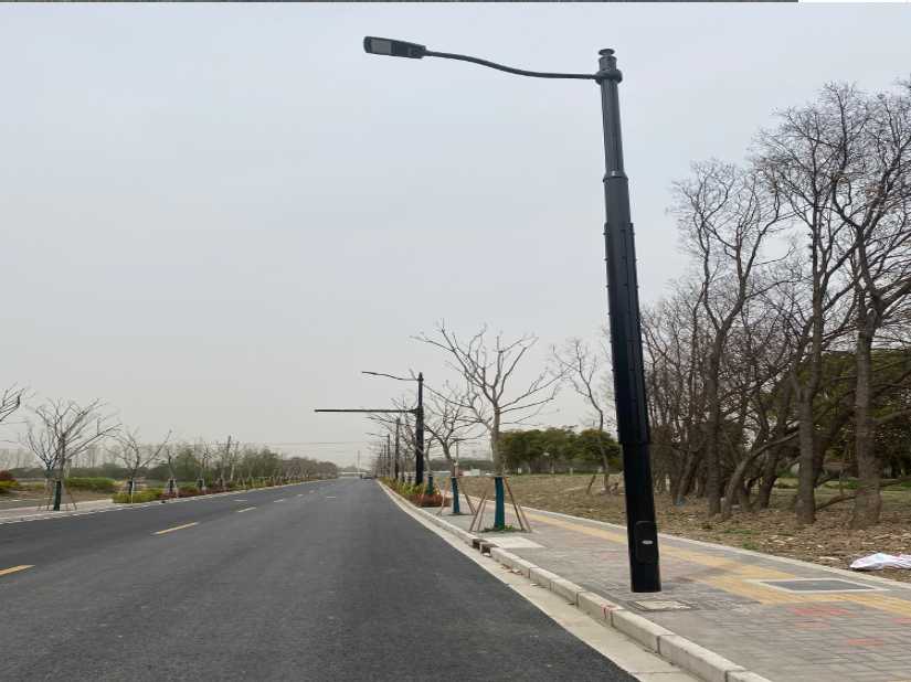 东山县上海综合杆 太阳能路灯工程